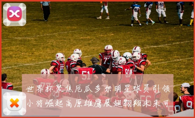 世界杯聚焦厄瓜多尔明星球员引领小将崛起高原雄鹰展翅翱翔未来可期